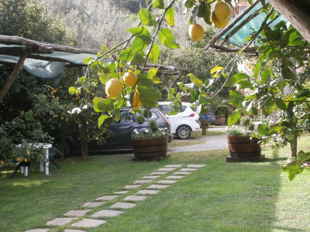 Villa De Angelis Sorrente Extérieur photo